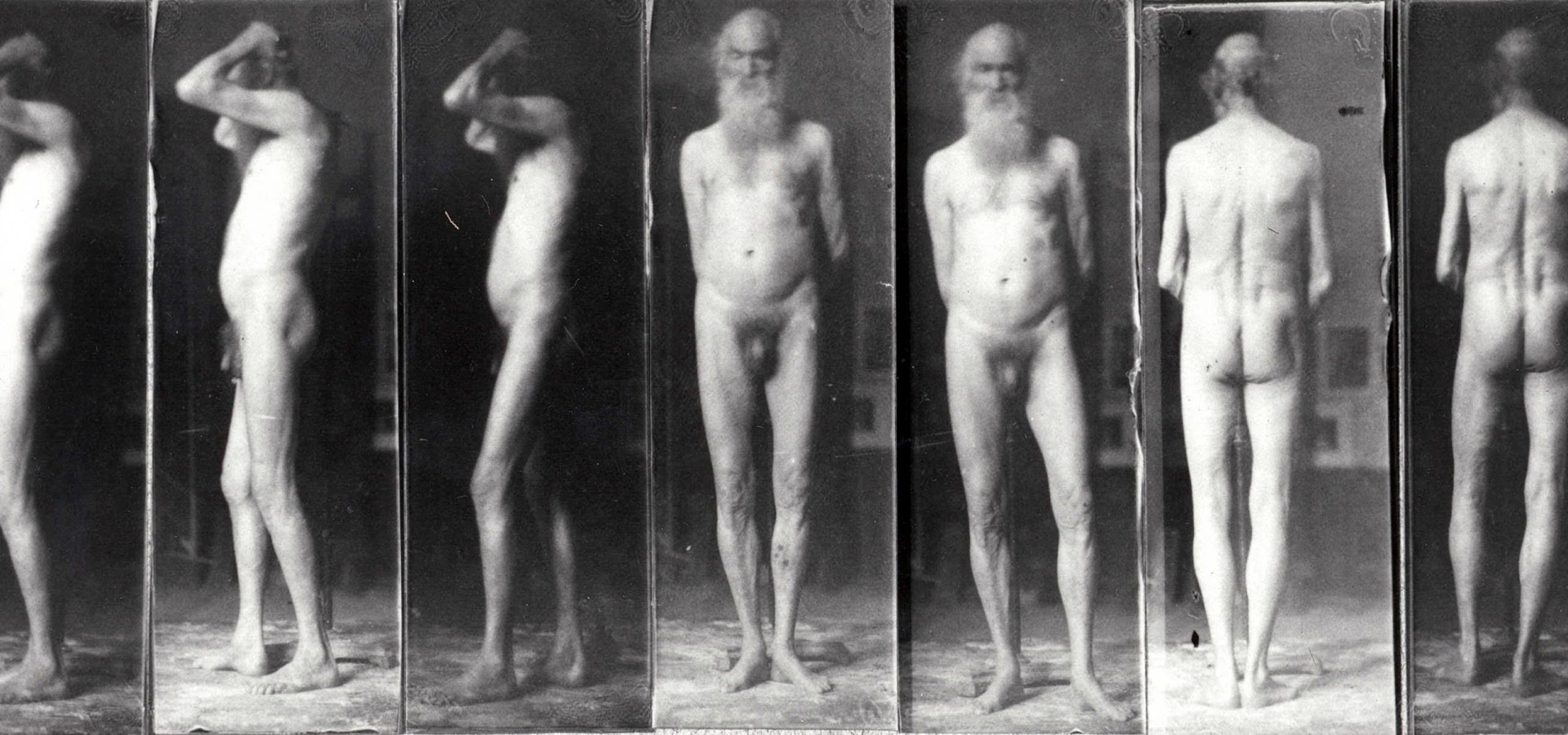 Walt Whitman: A poet in nature